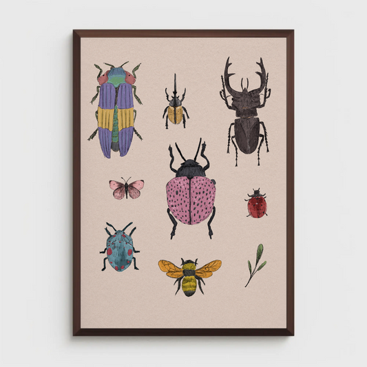 Insects